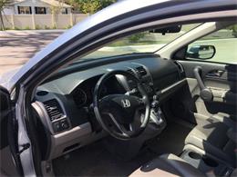 2009 Honda CRV (CC-1070239) for sale in Tavares, Florida