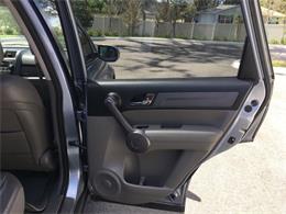 2009 Honda CRV (CC-1070239) for sale in Tavares, Florida