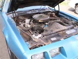 1979 Pontiac Firebird Formula (CC-1072950) for sale in Ellington, Connecticut