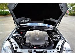 2005 Mercedes-Benz SLK-Class (CC-1073058) for sale in Clearwater, Florida