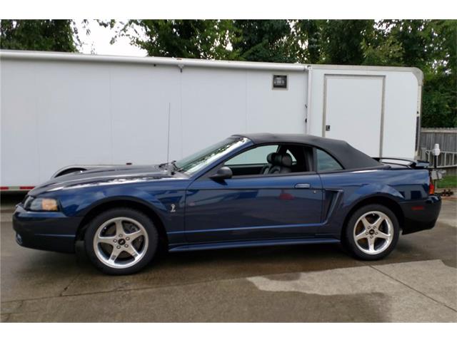 2001 Ford Mustang Cobra (CC-1073259) for sale in West Palm Beach, Florida