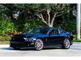 2012 Shelby GT500 (CC-1073301) for sale in West Palm Beach, Florida