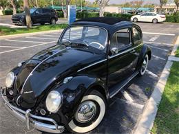 1960 Volkswagen Beetle (CC-1073668) for sale in Fort Lauderdale, Florida