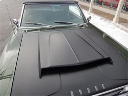 1967 Dodge Coronet 500 (CC-1073796) for sale in Clarkston, Michigan
