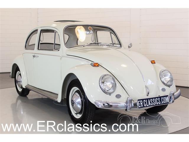 1964 Volkswagen Beetle (CC-1070388) for sale in Waalwijk, Noord-Brabant