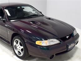 1996 Ford Mustang Cobra (CC-1074127) for sale in Macedonia, Ohio
