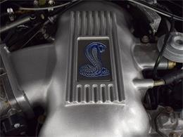 1996 Ford Mustang Cobra (CC-1074127) for sale in Macedonia, Ohio