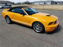 2008 Ford Mustang (CC-1074420) for sale in Scottsdale, Arizona