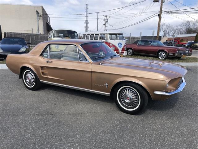 1967 Ford Mustang (CC-1075448) for sale in West Babylon, New York