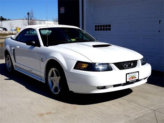 2004 Ford Mustang (CC-1075759) for sale in Hilton, New York