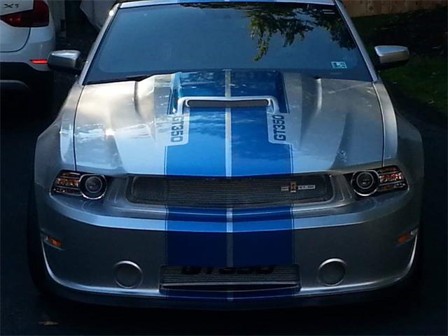 2014 Shelby GT350 (CC-1076056) for sale in dresher, Pennsylvania