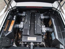 2003 Lamborghini Murcielago (CC-1070624) for sale in Fort Lauderdale, Florida