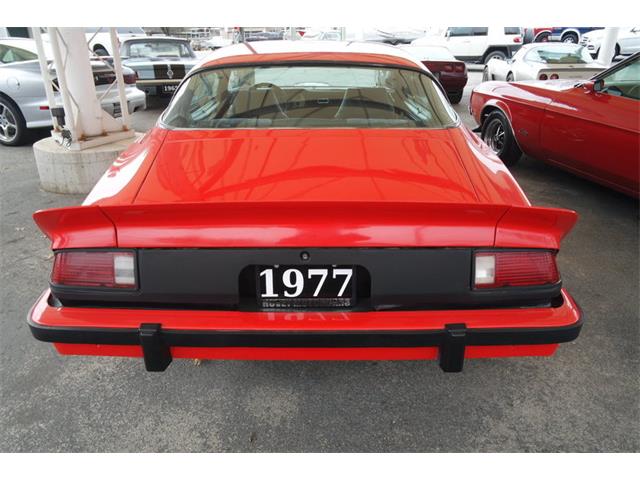 1977 Chevrolet Camaro Z28 Z28 (CC-1076264) for sale in San Antonio, Texas