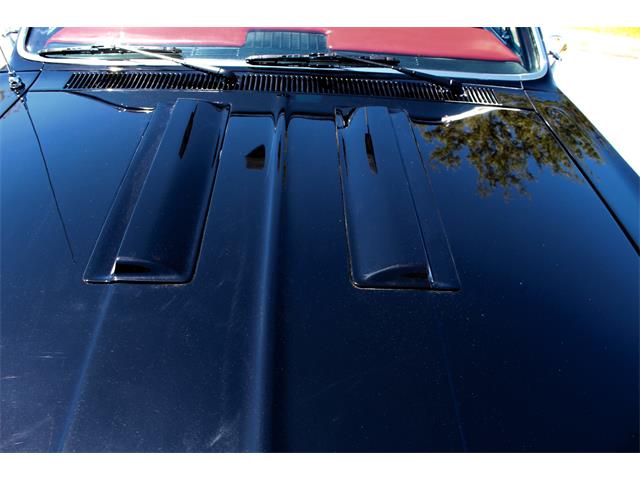 1966 Chevrolet El Camino (CC-1078031) for sale in Sarasota, Florida