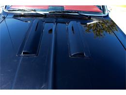 1966 Chevrolet El Camino (CC-1078031) for sale in Sarasota, Florida