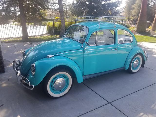 1967 Volkswagen Beetle (CC-1078081) for sale in Tracy, California