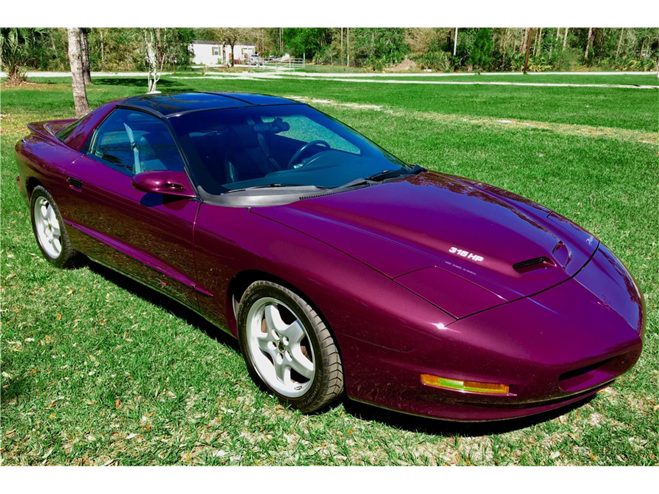 1995 Pontiac Firebird Trans Am Firehawk for Sale | ClassicCars.com | CC ...