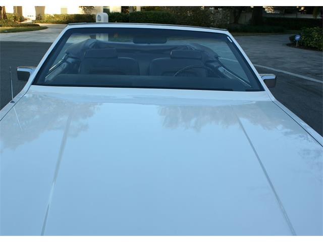 1984 Buick Riviera (CC-1079379) for sale in Lakeland, Florida