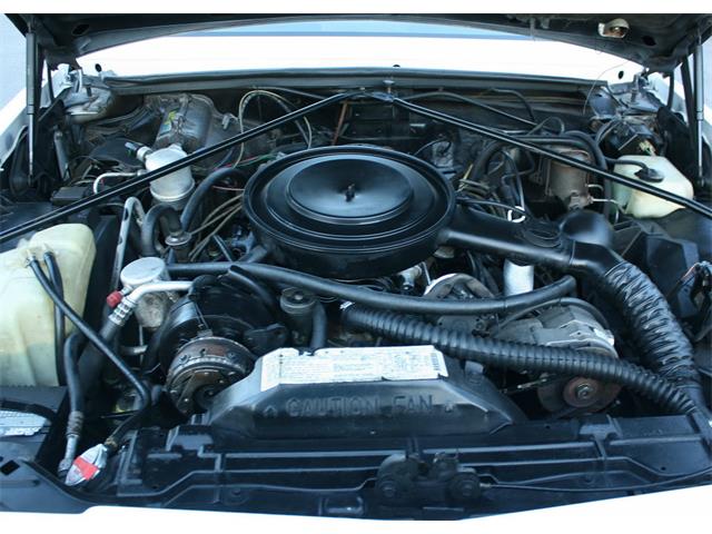 1984 Buick Riviera (CC-1079379) for sale in Lakeland, Florida