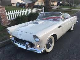 1956 Ford Thunderbird (CC-1079517) for sale in Cadillac, Michigan