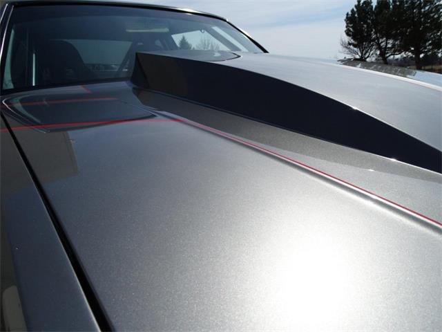 1979 Chevrolet Malibu (CC-1081230) for sale in Crete, Illinois