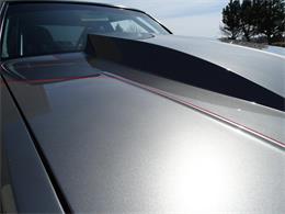 1979 Chevrolet Malibu (CC-1081230) for sale in Crete, Illinois
