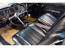 1967 Pontiac LeMans (CC-1081312) for sale in Salem, Ohio