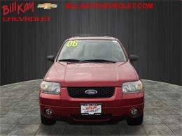 2006 Ford Escape (CC-1081451) for sale in Downers Grove, Illinois