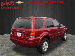2006 Ford Escape (CC-1081451) for sale in Downers Grove, Illinois