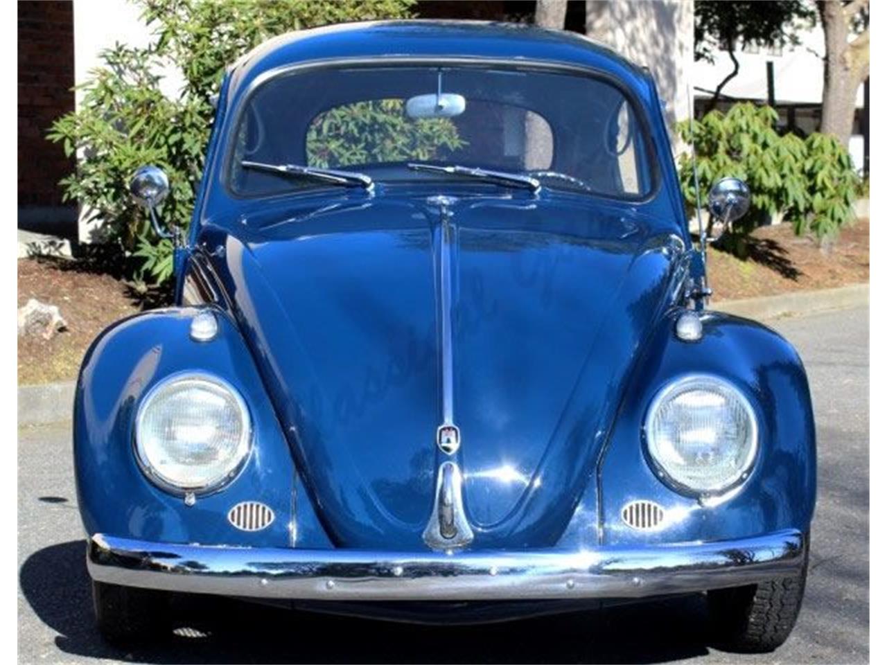 Beetle volkswagen 1960