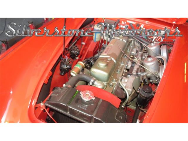 1966 Austin-Healey 3000 (CC-1081998) for sale in North Andover, Massachusetts