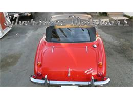 1966 Austin-Healey 3000 (CC-1081998) for sale in North Andover, Massachusetts