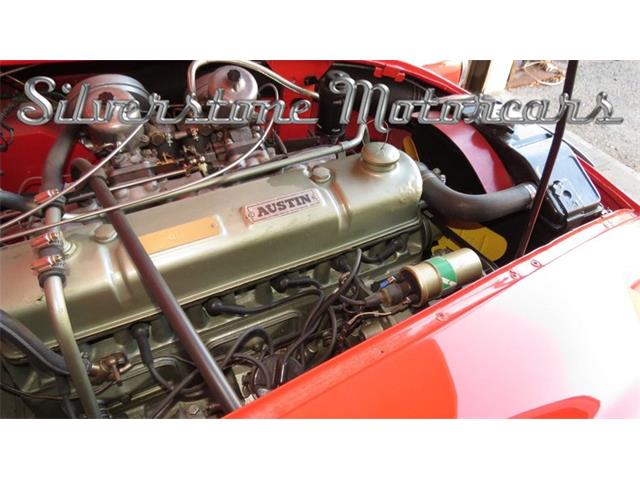 1966 Austin-Healey 3000 (CC-1081998) for sale in North Andover, Massachusetts