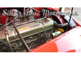1966 Austin-Healey 3000 (CC-1081998) for sale in North Andover, Massachusetts