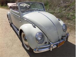 1964 Volkswagen Type 1 (CC-1082017) for sale in Laguna Beach, California