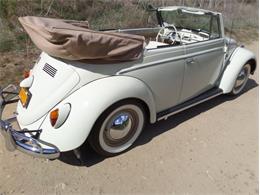 1964 Volkswagen Type 1 (CC-1082017) for sale in Laguna Beach, California
