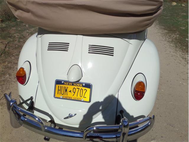 1964 Volkswagen Type 1 (CC-1082017) for sale in Laguna Beach, California
