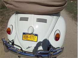 1964 Volkswagen Type 1 (CC-1082017) for sale in Laguna Beach, California