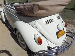 1964 Volkswagen Type 1 (CC-1082017) for sale in Laguna Beach, California