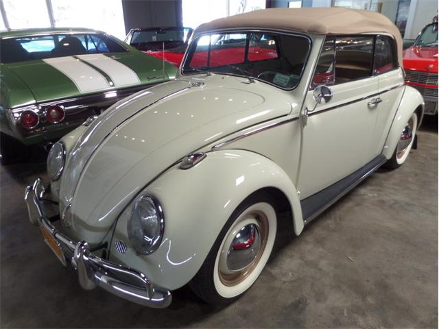 1964 Volkswagen Type 1 (CC-1082017) for sale in Laguna Beach, California