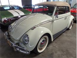 1964 Volkswagen Type 1 (CC-1082017) for sale in Laguna Beach, California