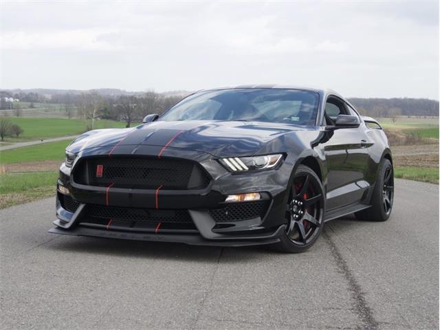 2016 Shelby GT (CC-1082299) for sale in Cape Girardeau, Missouri