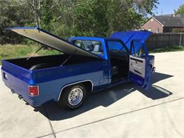 1981 Chevrolet C10 (CC-1082884) for sale in Katy, Texas