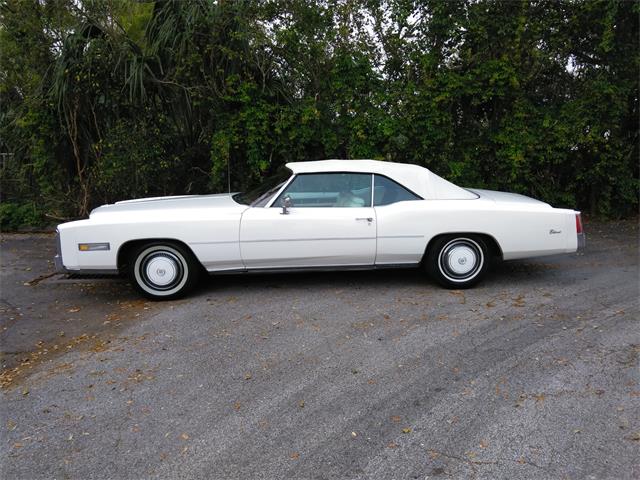 1976 Cadillac Eldorado (CC-1083771) for sale in Wellington, Florida