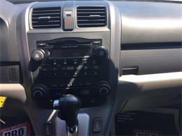 2009 Honda CRV (CC-1083876) for sale in Tavares, Florida