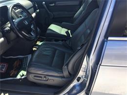 2009 Honda CRV (CC-1083876) for sale in Tavares, Florida