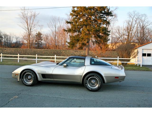 1982 Chevrolet Corvette (CC-1083998) for sale in Old Forge, Pennsylvania