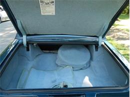 1979 Cadillac Seville (CC-1084537) for sale in Orlando, Florida