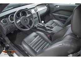2009 Ford Mustang Shelby GT500 (CC-1085159) for sale in Halton Hills, Ontario
