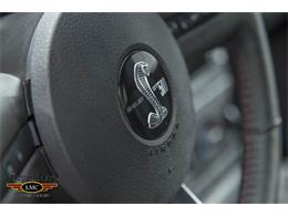 2009 Ford Mustang Shelby GT500 (CC-1085159) for sale in Halton Hills, Ontario